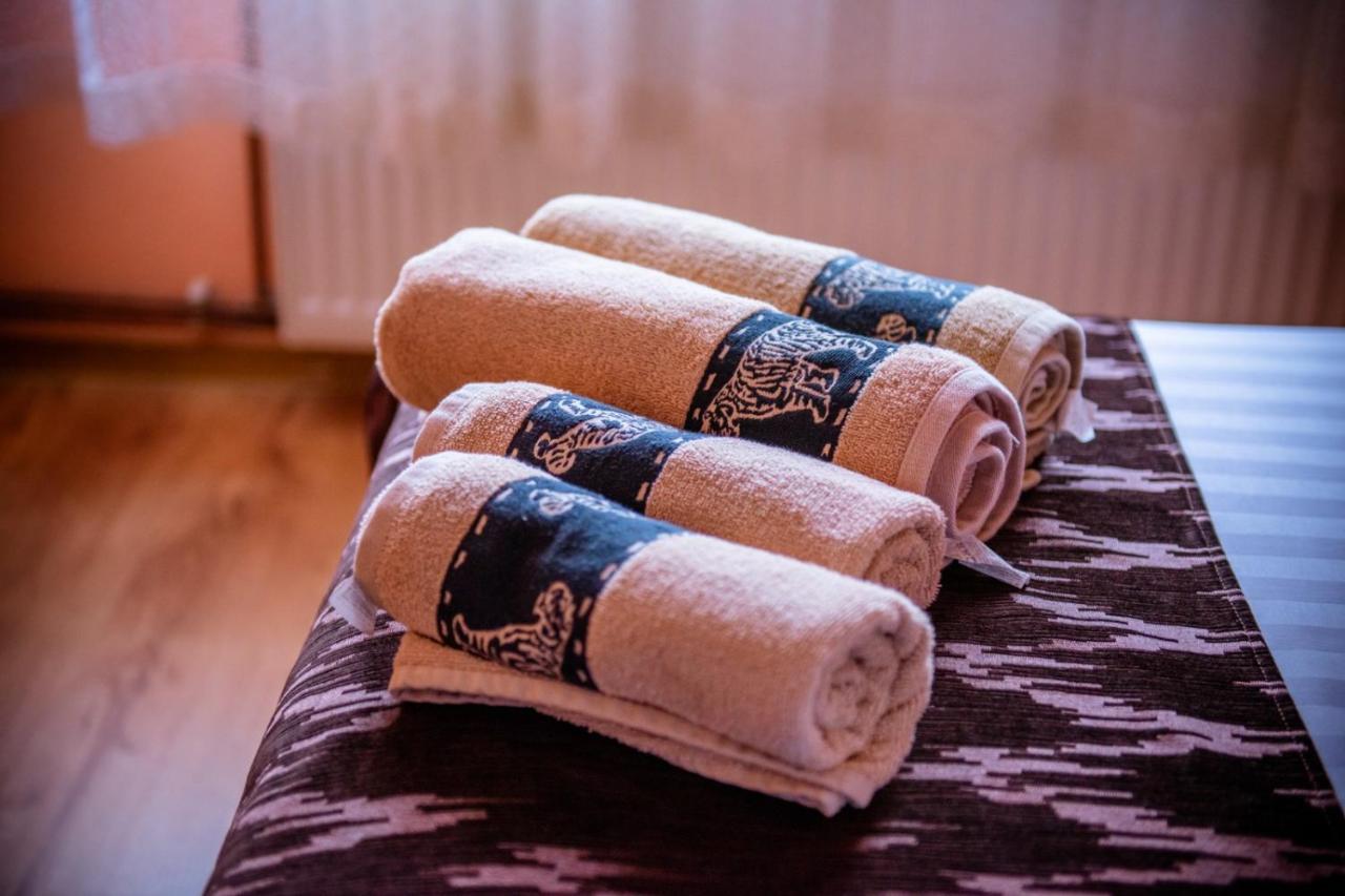 Popasul Drumetului Transfagarasan Hotel Curtea de Argeş Екстериор снимка