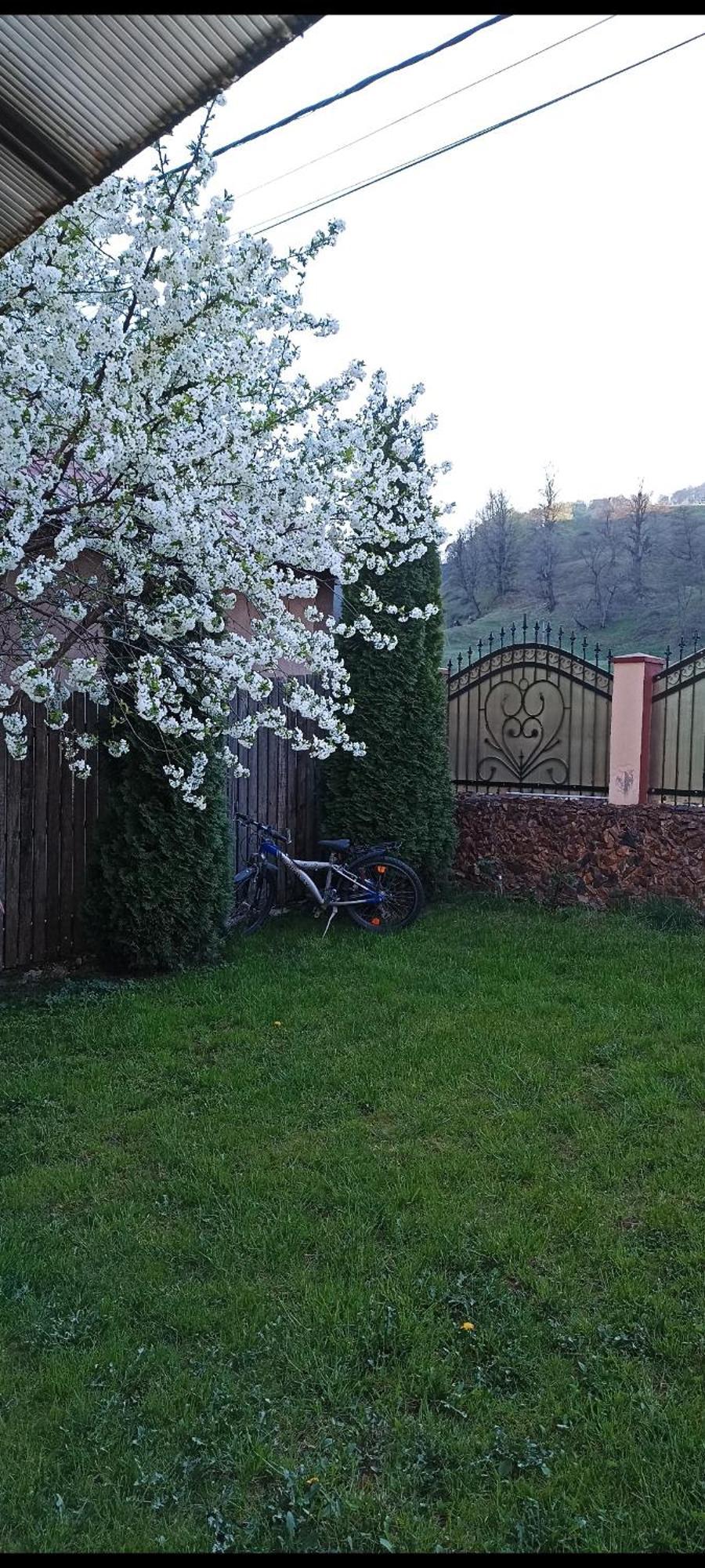 Popasul Drumetului Transfagarasan Hotel Curtea de Argeş Екстериор снимка